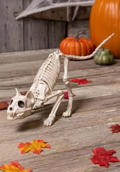 11-Inch Lil' Kitty Skeleton Prop