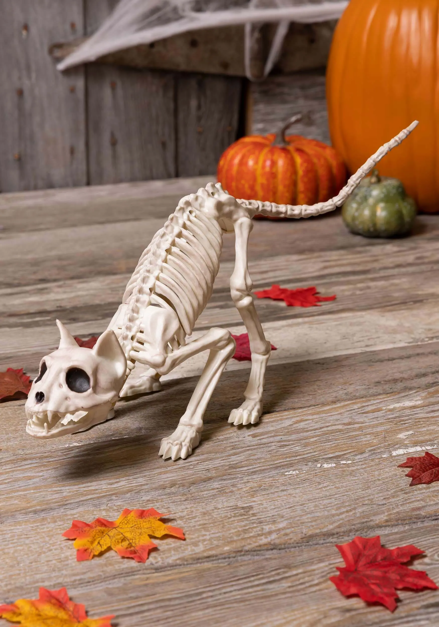 11-Inch Lil' Kitty Skeleton Prop 1 11-Inch Lil' Kitty Skeleton Prop