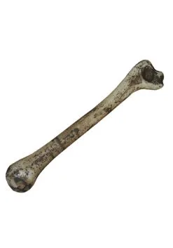 12" Realistic Bone Prop Decoration