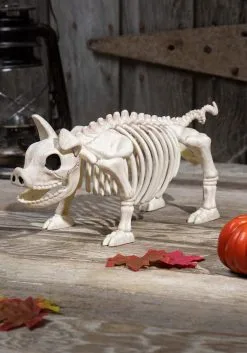 14 And 3/4 Inch Pig Skeleton