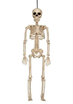 16 Inch Skeleton Decoration