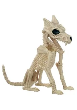 17 And A Half Inch Wolf Skeleton