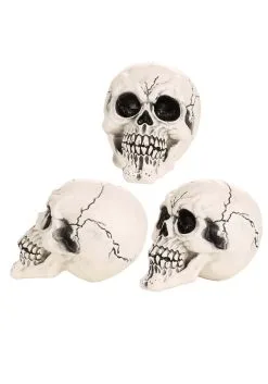 3-Pack Of Large Skulls Table Decoration -Halloween Costumes Shop 3 pack of large skulls cy21082 alt 3