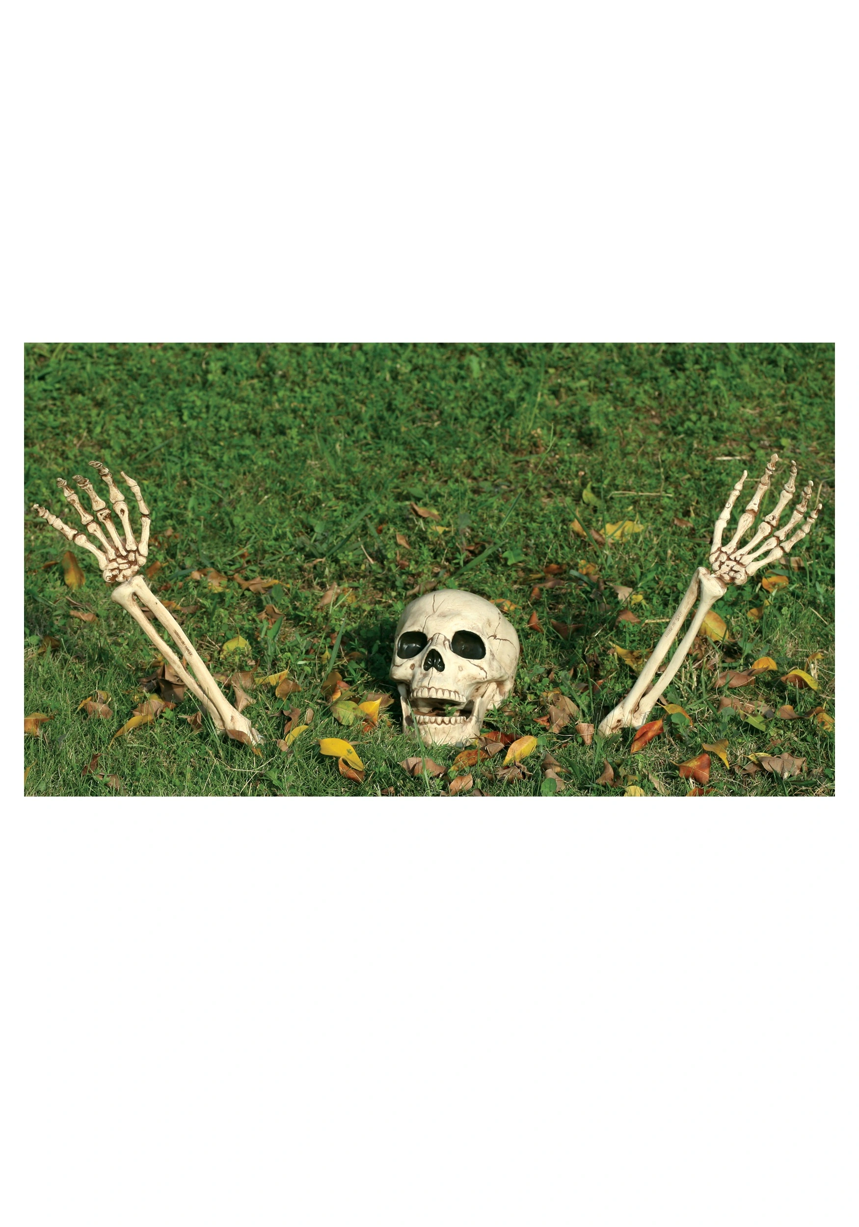 3 Piece Buried Alive Skeleton Kit 1 3 Piece Buried Alive Skeleton Kit