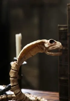 39'' Cobra Skeleton 5 39'' Cobra Skeleton -Halloween Costumes Shop 39 cobra skeleton 2