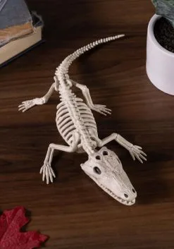 Baby Alligator Skeleton Decoration