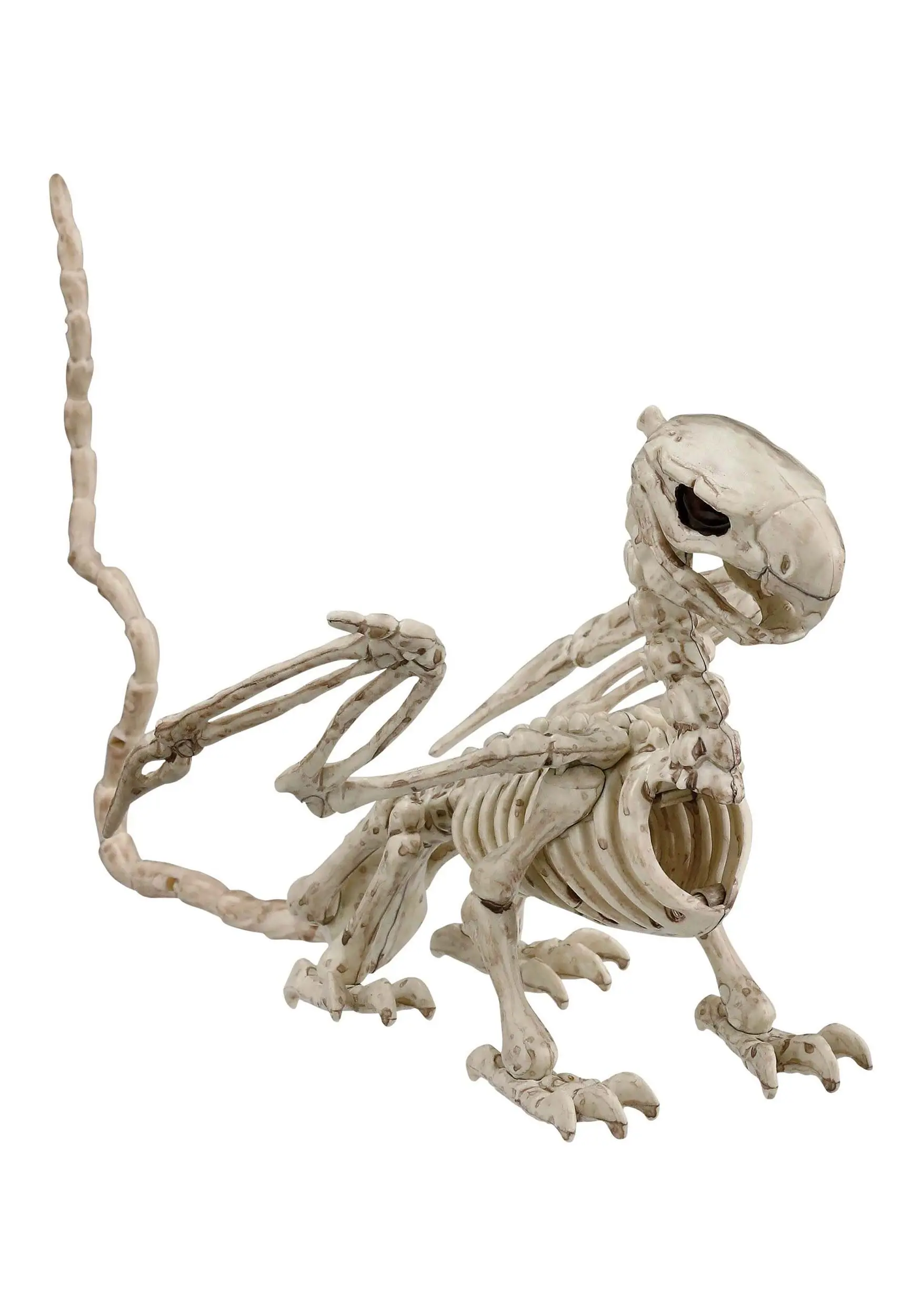 5 And A Half Inch Griffin Skeleton 1 5 And A Half Inch Griffin Skeleton