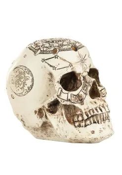 6 Inch Lighted Celestial Skulls Decoration -Halloween Costumes Shop 6 lighted celestial skulls alt 2
