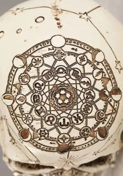 6 Inch Lighted Celestial Skulls Decoration -Halloween Costumes Shop 6 lighted celestial skulls alt 5