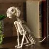 7 And A Half Inch Sitting Puppy Skeleton