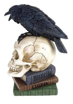 Poe's 8" Raven Skull Decoration -Halloween Costumes Shop 8 poes raven skull decoration alt 3