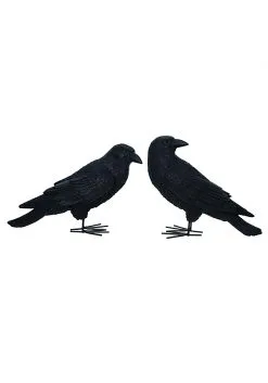 Set Of 2 Fright Night 9 Inch Crows