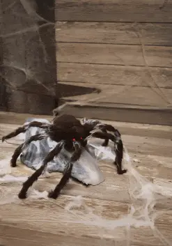 Brown Jumping Animated Spider