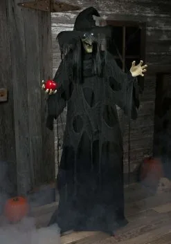 Scary Animated Standing Evil Witch