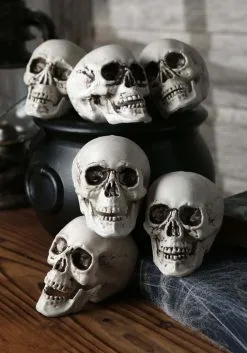 24 Skulls In A Bag