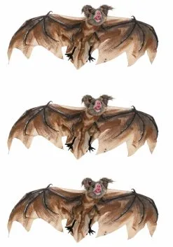 3 Pack Brown Bat -Halloween Costumes Shop brown bat 3 pack alt 3
