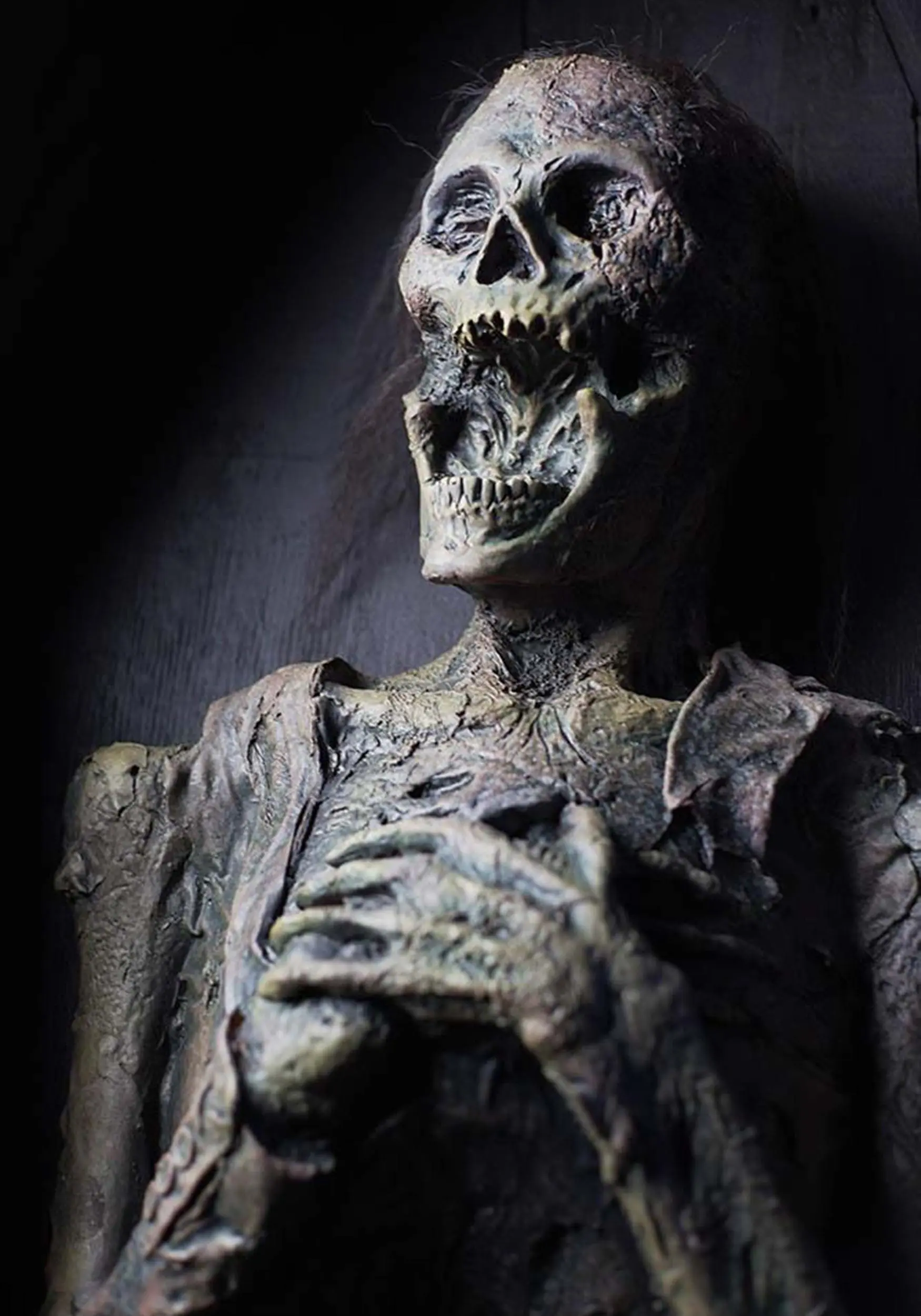 Skeleton In Coffin Halloween Prop 2 Skeleton In Coffin Halloween Prop - Image 2