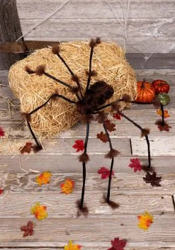 Large Hairy Brown Spider