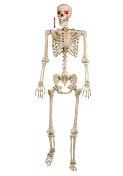 Mr. Crazy Bonez Animated Skeleton -Halloween Costumes Shop mr crazy bonez animated skeleton alt 2