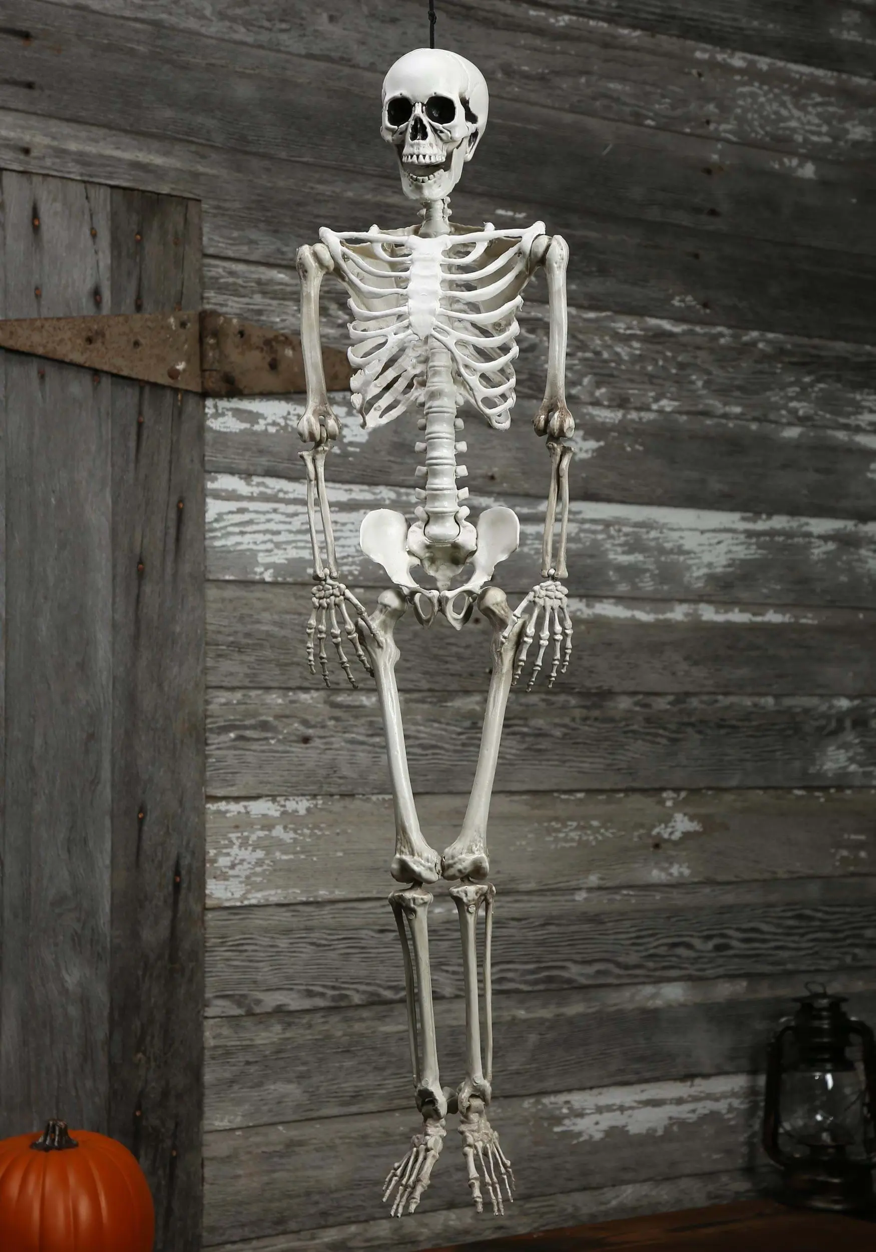 Plastic Realistic Skeleton 1 Plastic Realistic Skeleton
