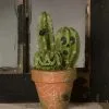 Potted Cacti O' Lantern Decoration
