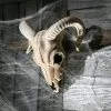 Plastic Ram Skull Decor