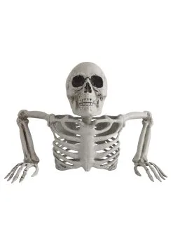 Skeleton Torso Groundbreaker Decoration