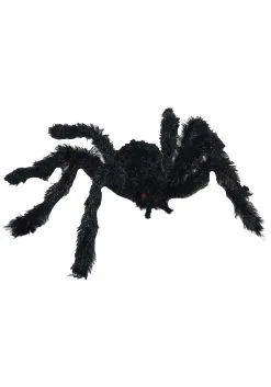 Black Small Hairy Spider
