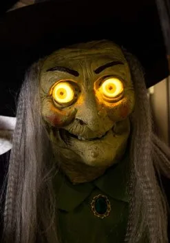 Animated Stirring Up Trouble Witch Decoration 19 Animated Stirring Up Trouble Witch Decoration -Halloween Costumes Shop stirring up trouble animated witch decoration alt 9