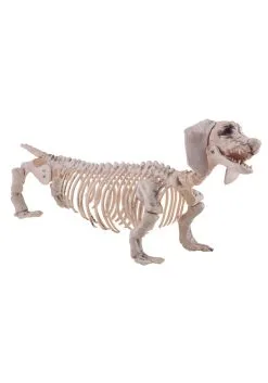 Weiner Dog Skeleton Decoration